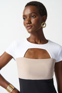 Joseph Ribkoff Black/Vanilla/Dune Color-Block Sheath Dress Style 242156