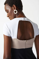 Joseph Ribkoff Black/Vanilla/Dune Color-Block Sheath Dress Style 242156